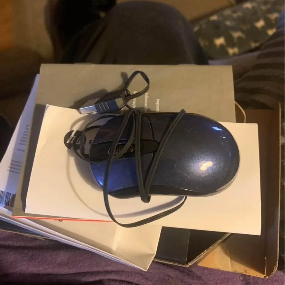 HP Wired Mouse Z2000